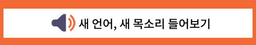 새음색 들어보기s.png